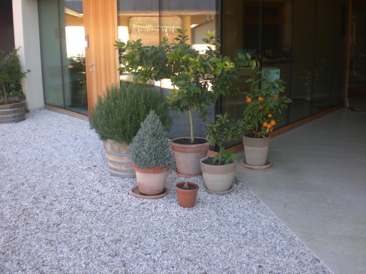 Biobauernhof St. Quirinus Apartment Caldaro Bagian luar foto