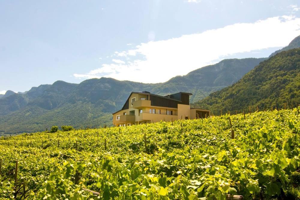 Biobauernhof St. Quirinus Apartment Caldaro Bagian luar foto
